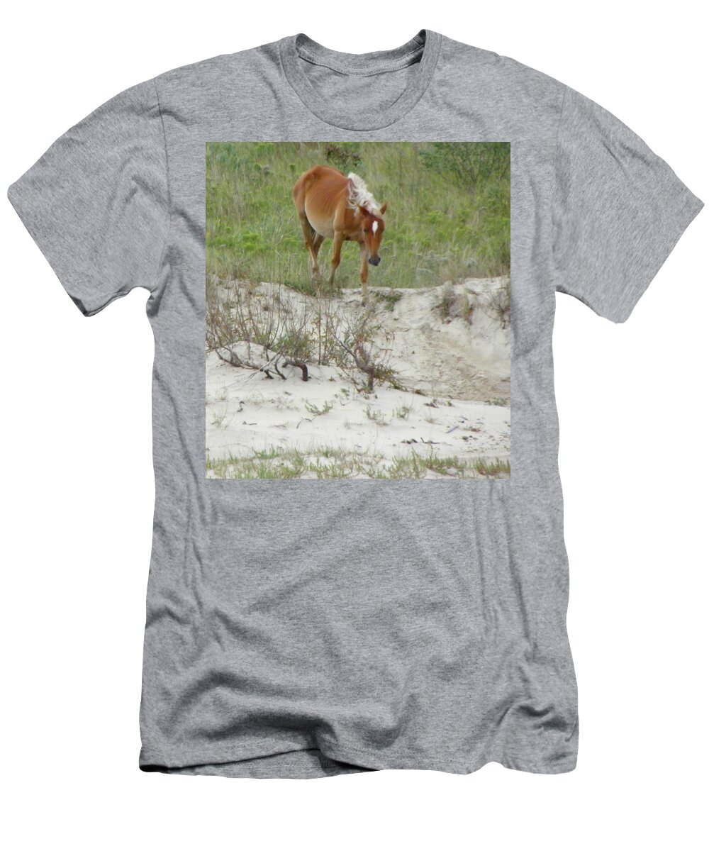 Mustang T-Shirt featuring the photograph Wild Spanish Mustang of the Outer Banks of North Carolina by Kim Galluzzo Wozniak