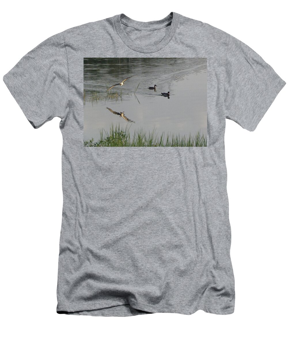 Wood Ducks T-Shirt featuring the photograph Wood Ducks At Peace by Kim Galluzzo Wozniak