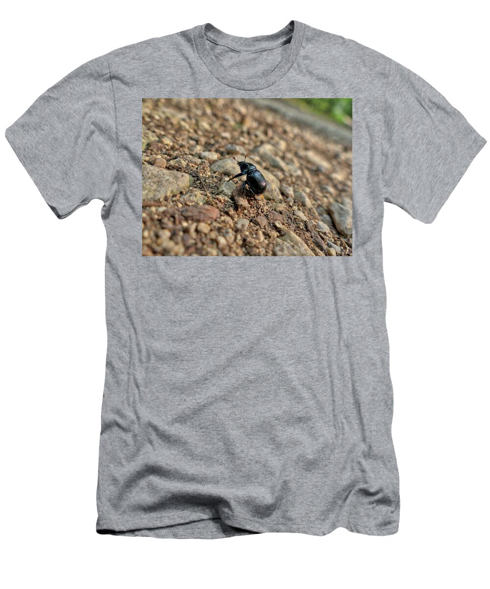 Area For Recreation T-Shirt featuring the photograph A Insect Named Bracken Clock With Brown Wings #1 by Gina Koch