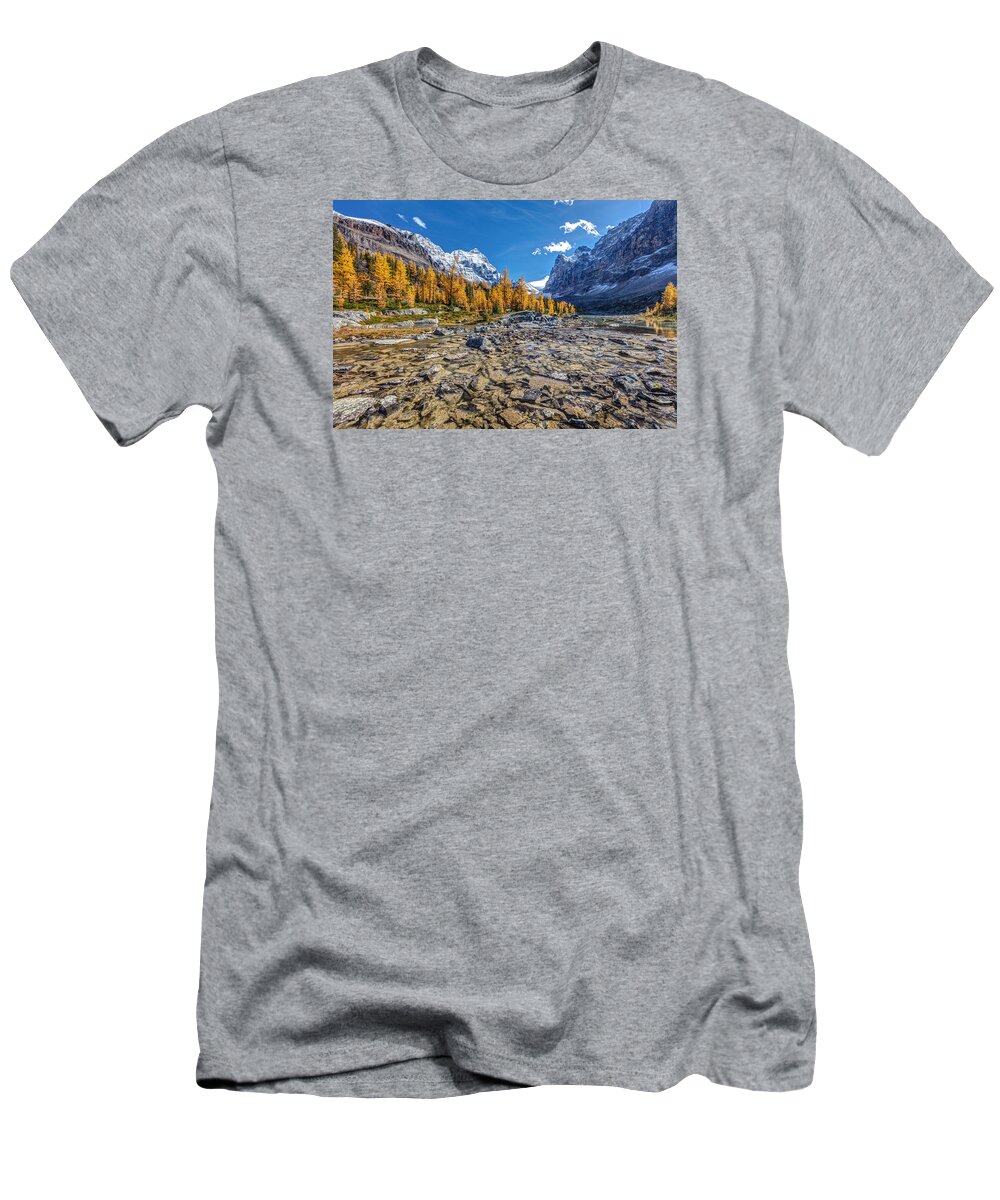 5dsr T-Shirt featuring the photograph Autumn at the Opabin Plateau #2 by Pierre Leclerc Photography