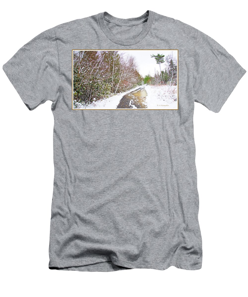 Back Road T-Shirt featuring the photograph Back Road, Pocono Mountain Thicket in Winter #1 by A Macarthur Gurmankin