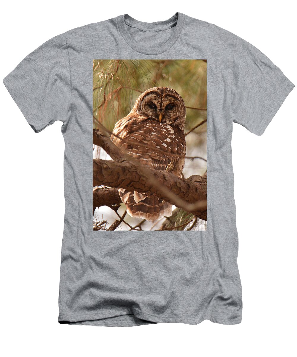 Bird T-Shirt featuring the photograph Barred Owl #1 by Alan Lenk