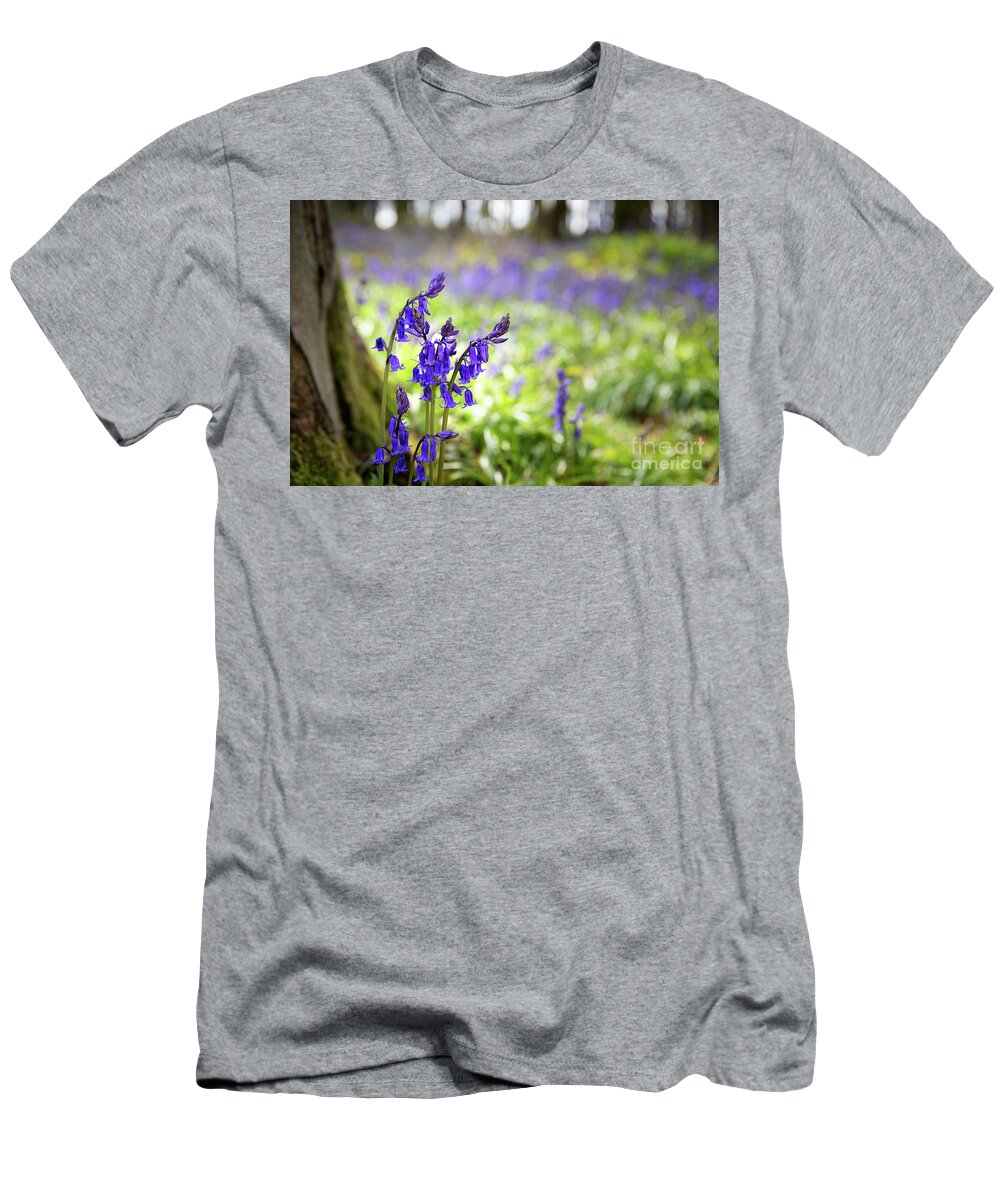 Spring T-Shirt featuring the photograph Bluebells #1 by Jane Rix