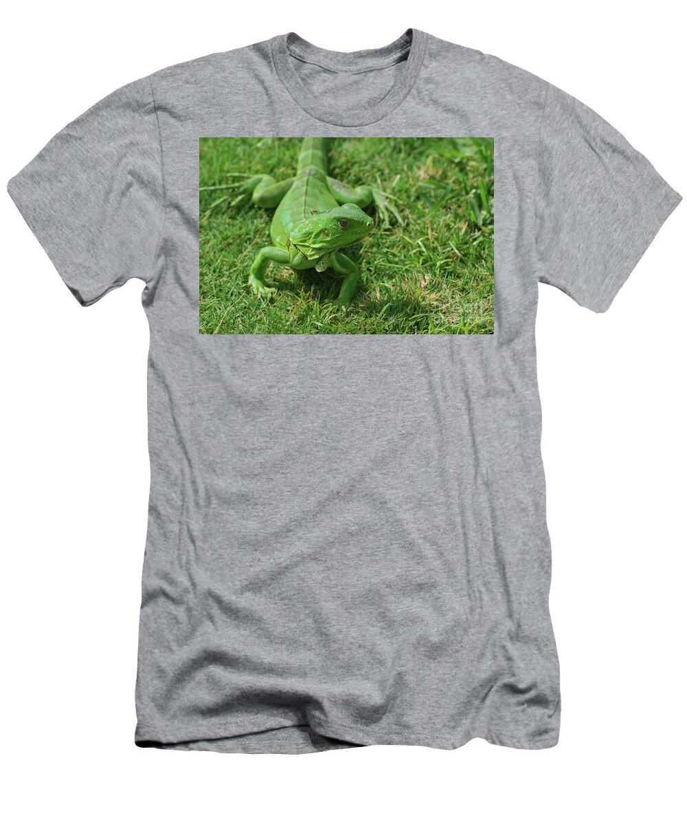 Iguana T-Shirt featuring the photograph Bright Green Iguana in Grass #1 by DejaVu Designs