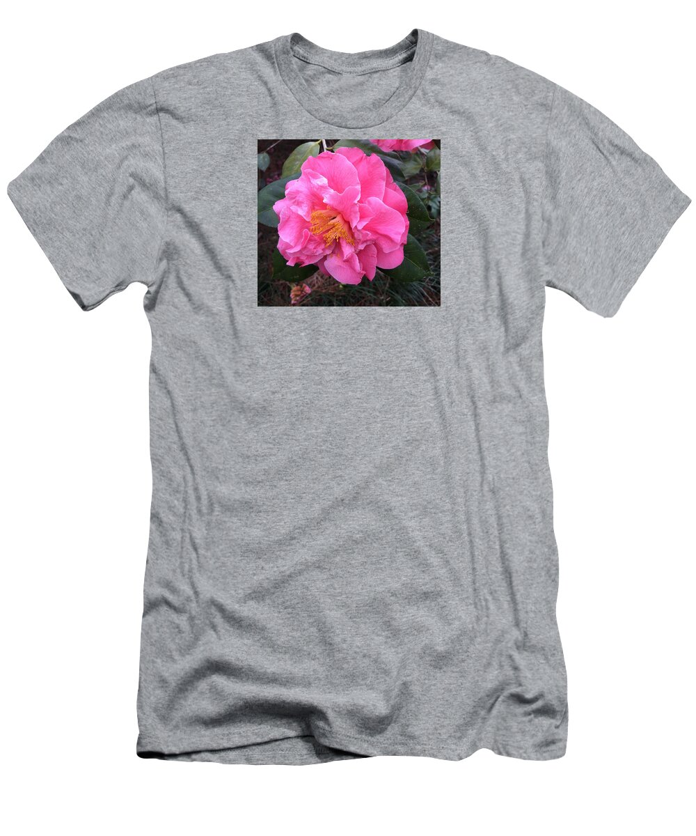 Camellia T-Shirt featuring the photograph Camellia #1 by Lessandra Grimley