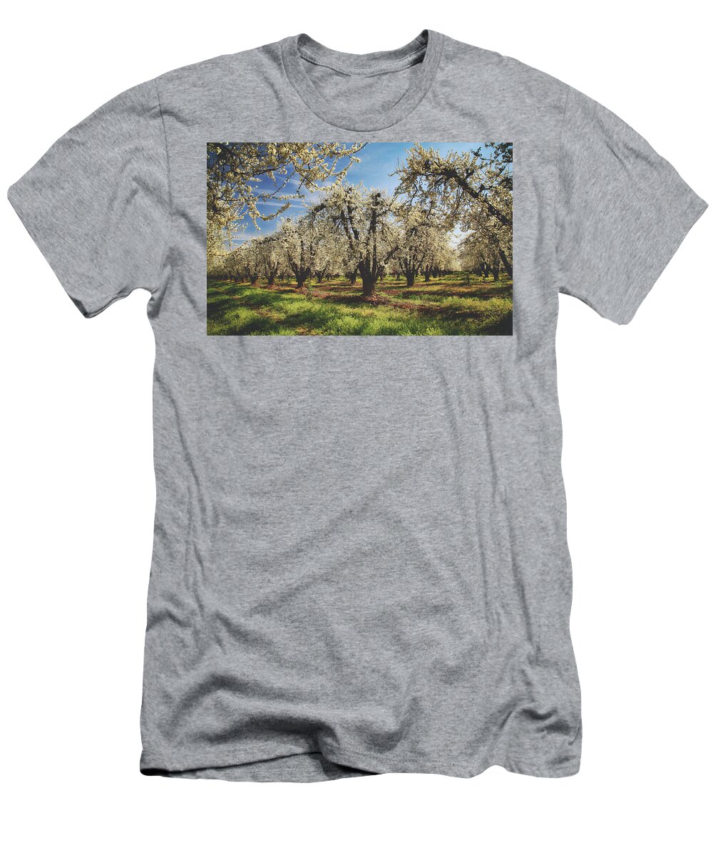 Spring T-Shirt featuring the photograph Everything is New Again #2 by Laurie Search