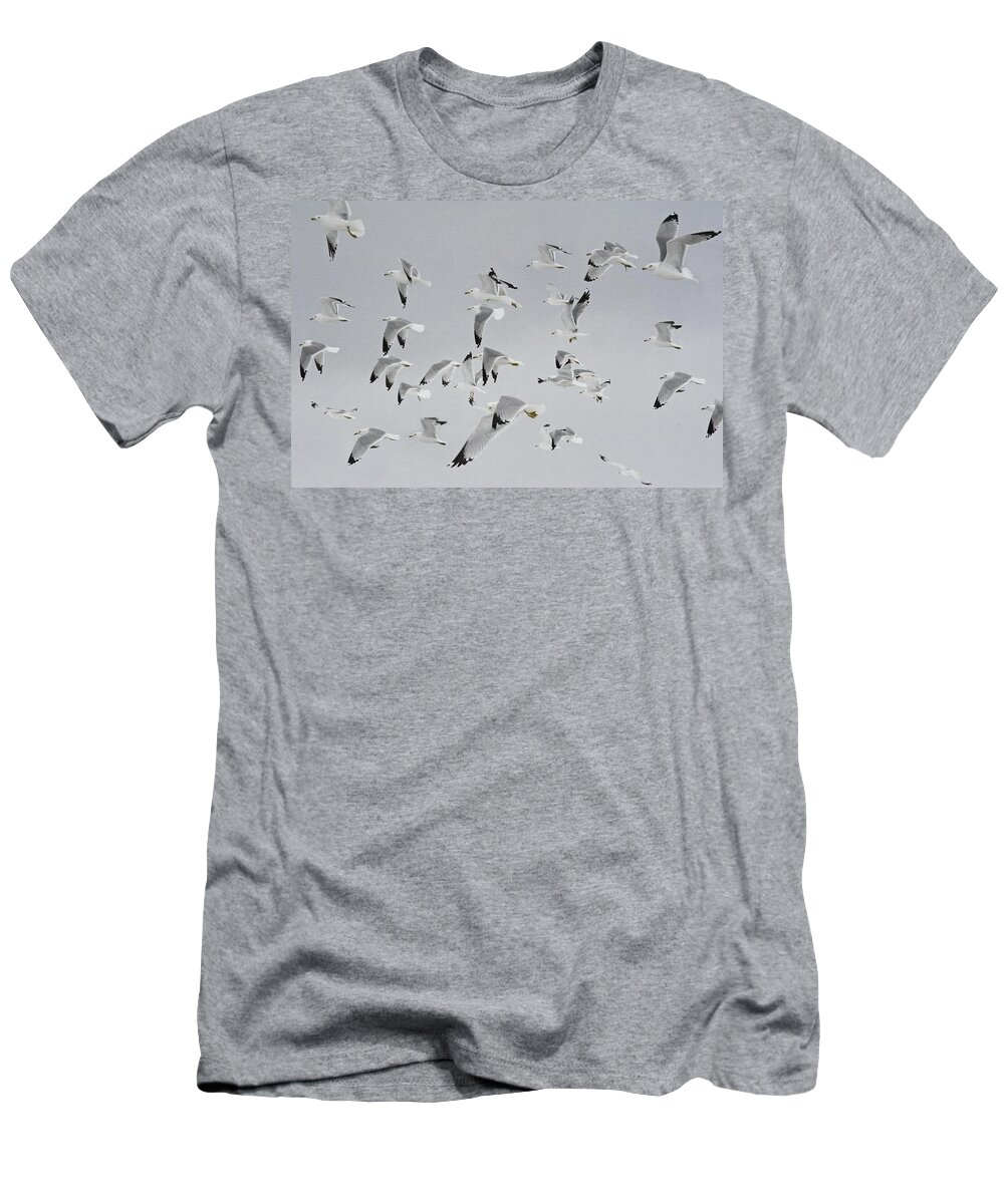 Flock Of Birds T-Shirt featuring the photograph Flock of Birds #1 by Andrea Kollo