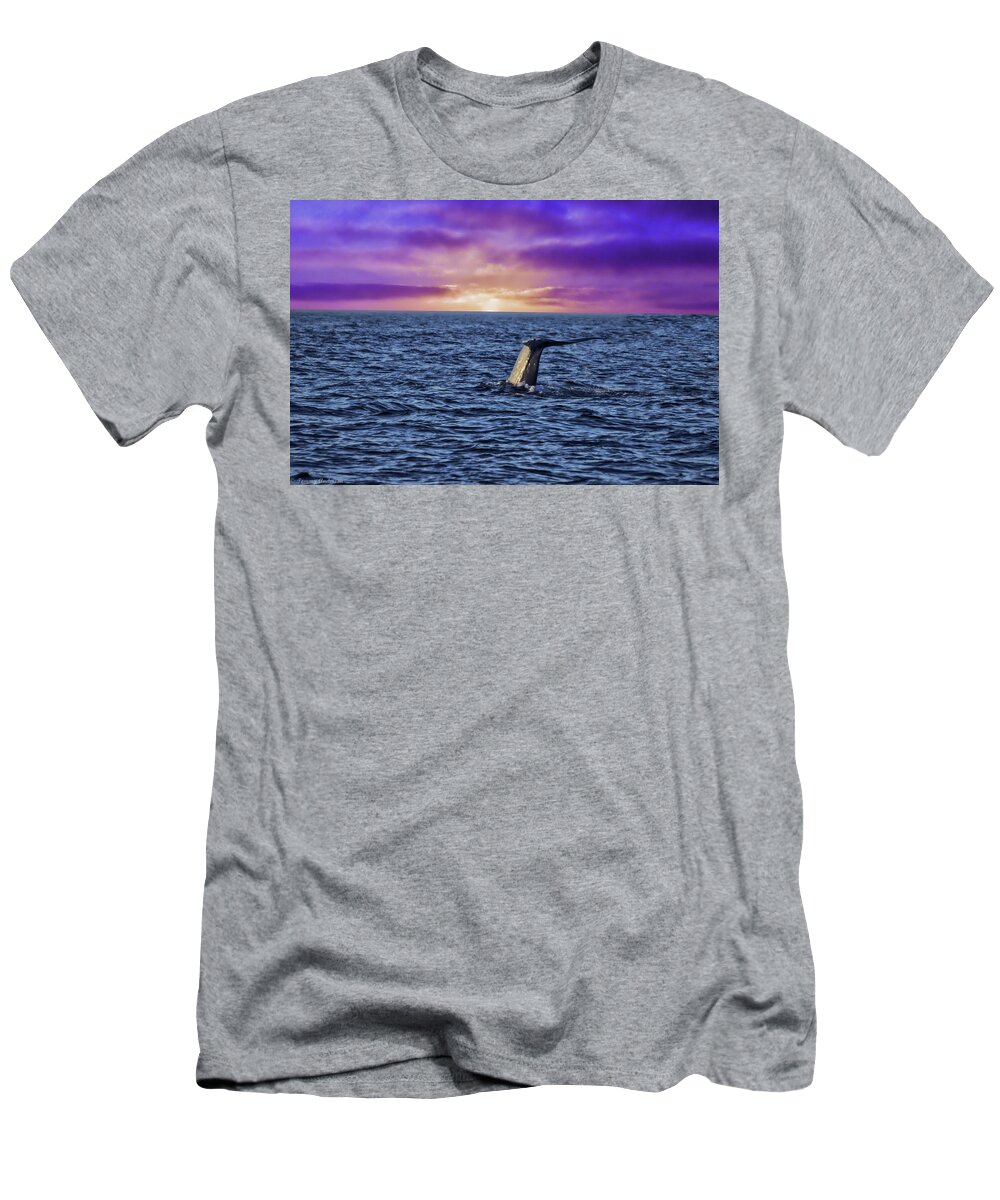 Blue Whale T-Shirt featuring the photograph Good Night Newport Beach #1 by Tommy Anderson