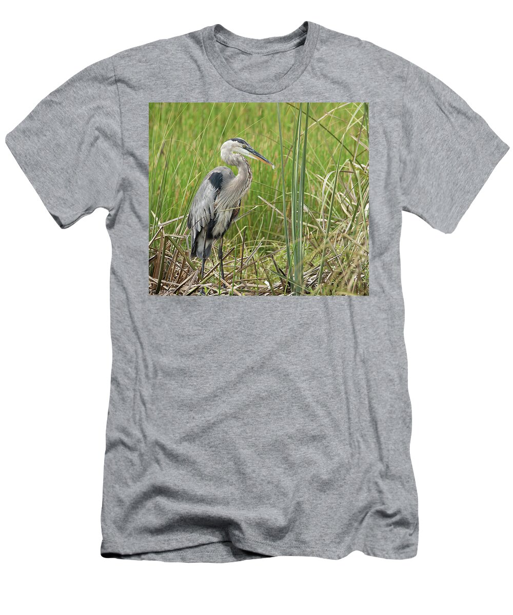 Great T-Shirt featuring the photograph Great Blue Heron #1 by Richard Goldman