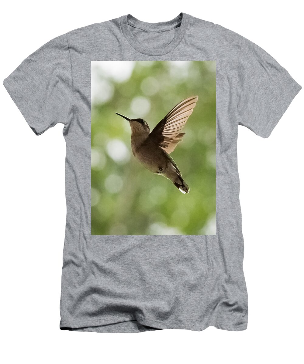 Hummingbird T-Shirt featuring the photograph Hummingbird #1 by Holden The Moment