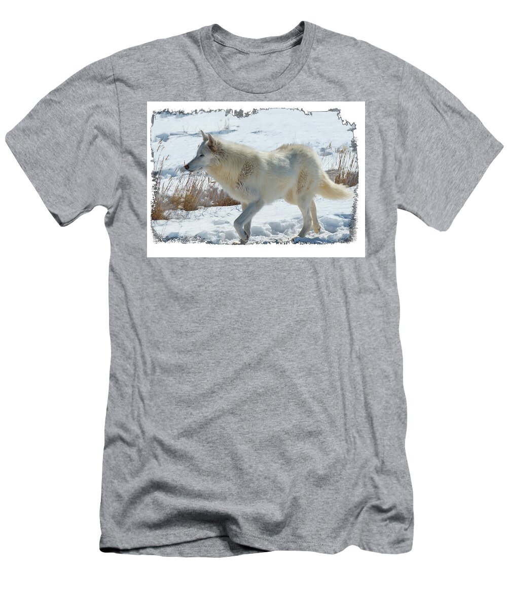 Lone White Wolf T-Shirt featuring the photograph Lone White Wolf by O Lena