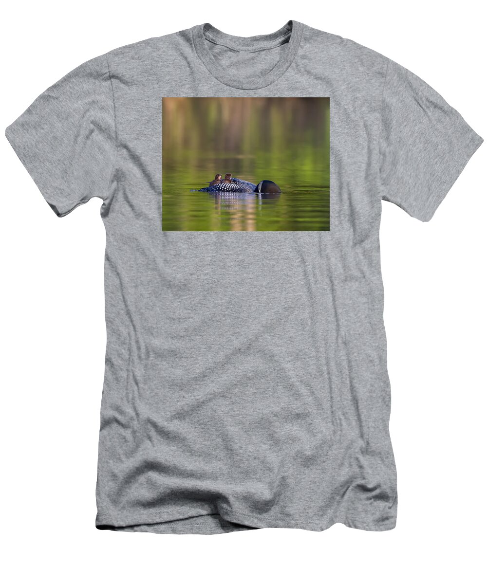 Common Loon T-Shirt featuring the photograph Loon Chick Yawn by John Vose