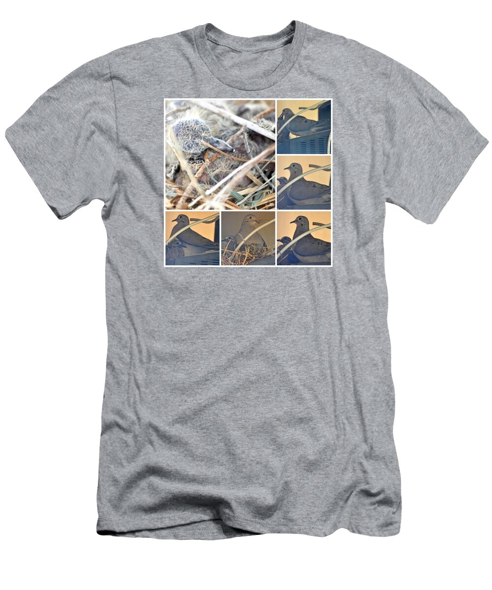 Animals T-Shirt featuring the photograph Mourning Dove Collage #2 by Jay Milo