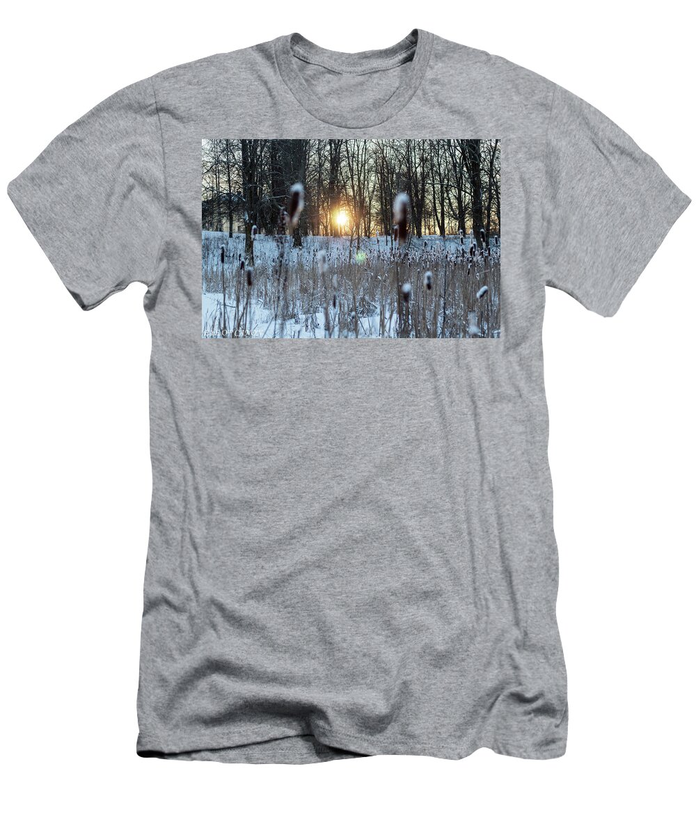 T-Shirt featuring the photograph Nature #1 by Eye of Canon Sergio Lara