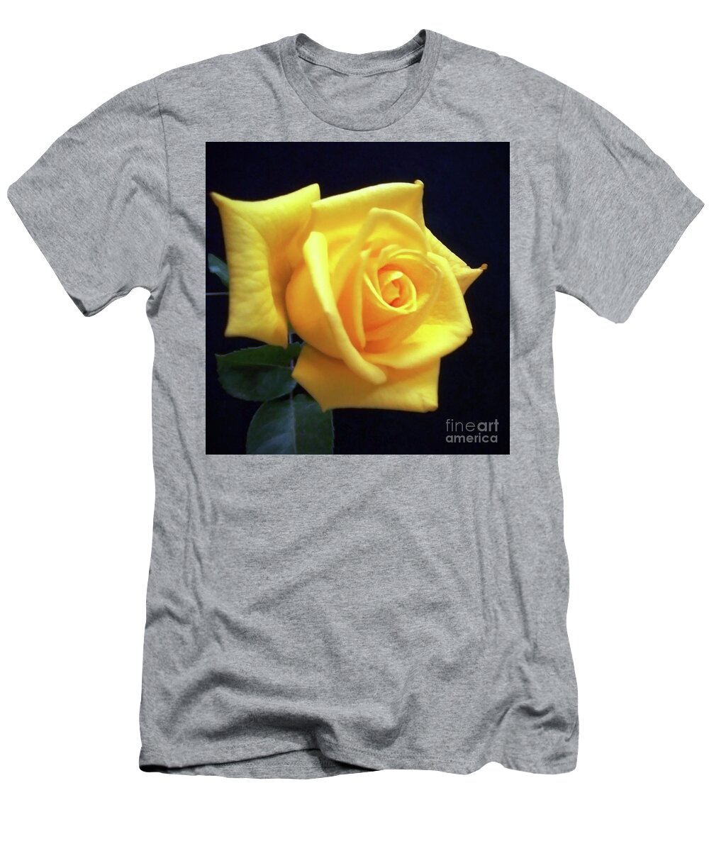 Yellow T-Shirt featuring the photograph One Yellow Rose #1 by Rita Brown