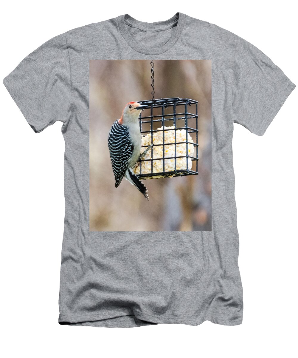 Woodpecker T-Shirt featuring the photograph Red - Bellied Woodpecker #2 by Holden The Moment