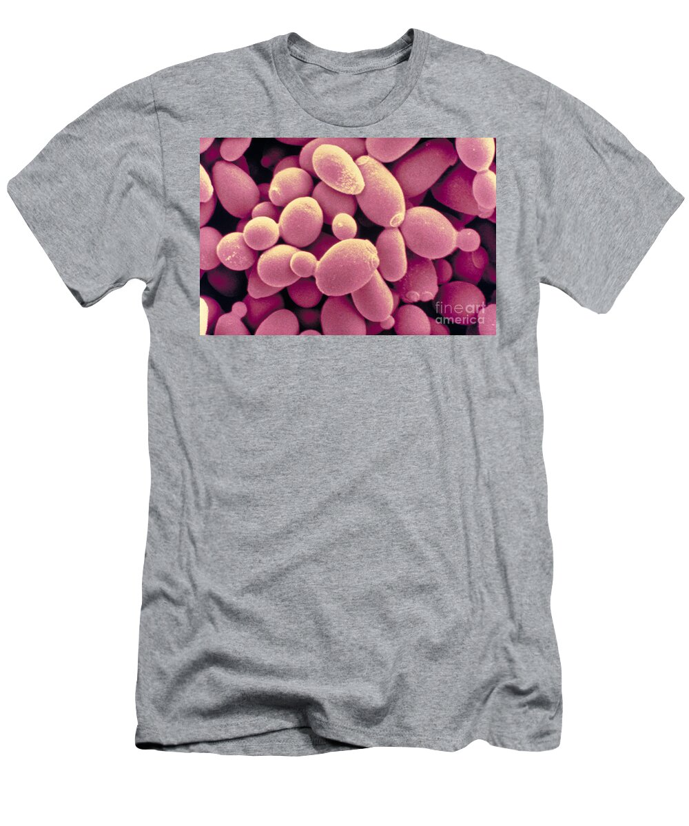 Saccharomyces Cerevisiae Yeast T-Shirt featuring the photograph Saccharomyces Cerevisiae Yeast #1 by Scimat