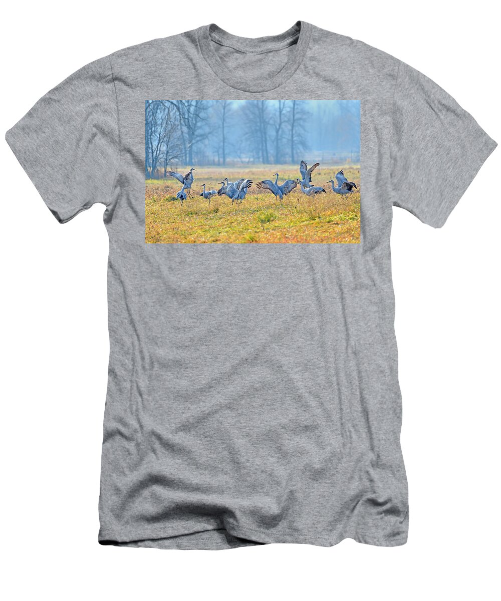 Sandhill Crane T-Shirt featuring the photograph Saturday Night #1 by Tony Beck