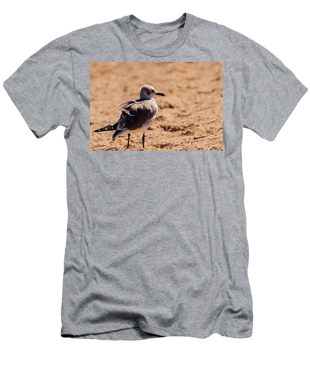 Animals T-Shirt featuring the photograph Sea Gull #1 by The Bohemian Lens LLC