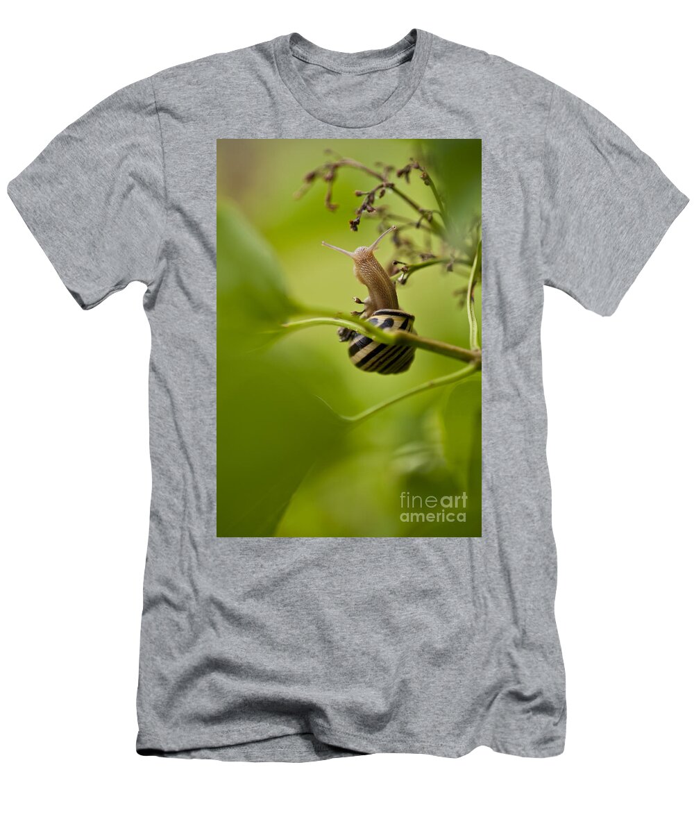 Pacific Northwest T-Shirt featuring the photograph Snail Stretching #1 by Jim Corwin