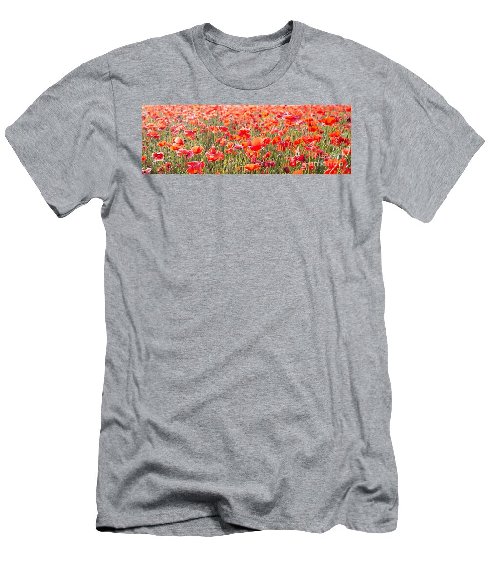 3x1 T-Shirt featuring the photograph Summer poetry by Hannes Cmarits