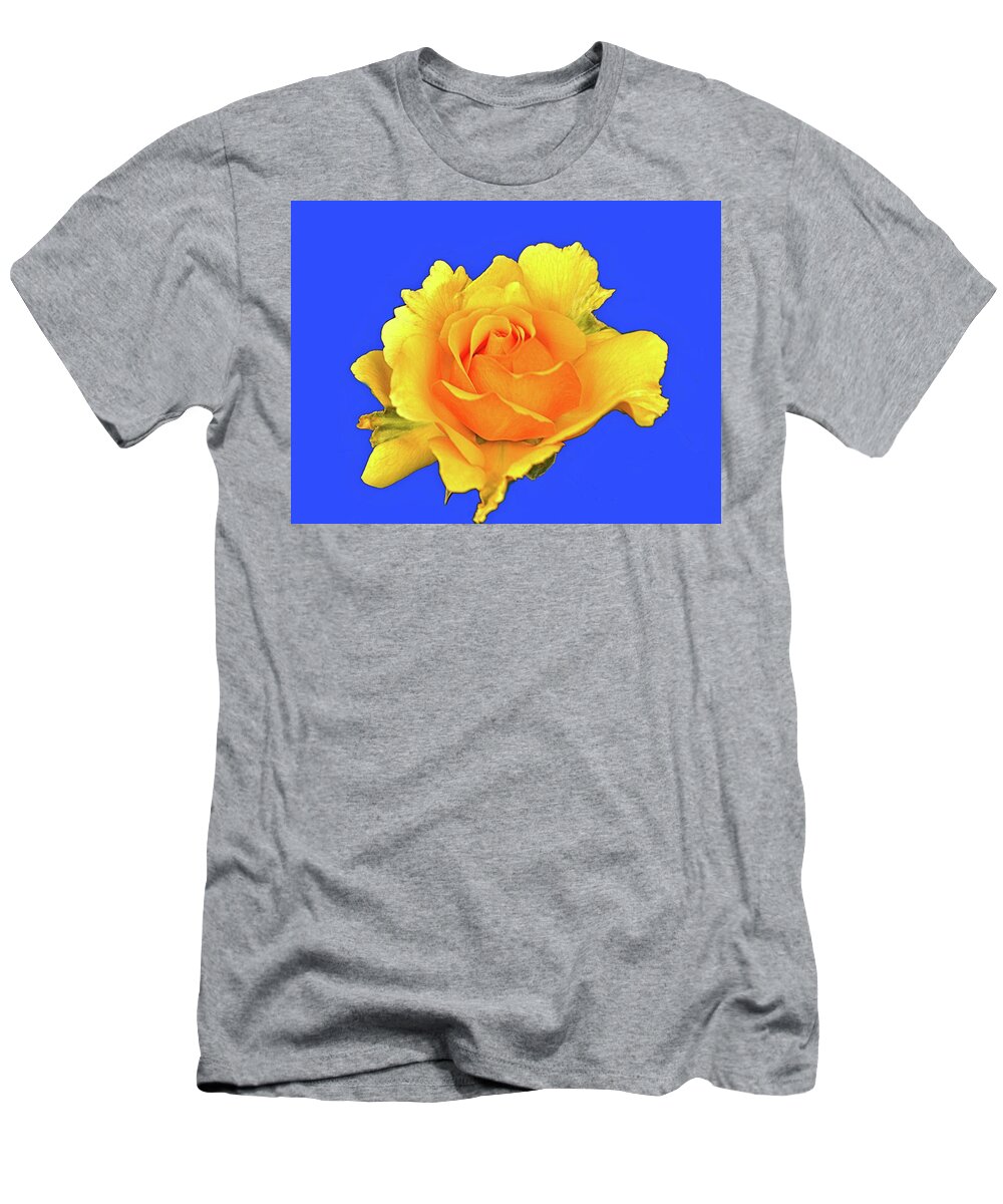 Roses T-Shirt featuring the photograph The Rose #1 by Richard Denyer