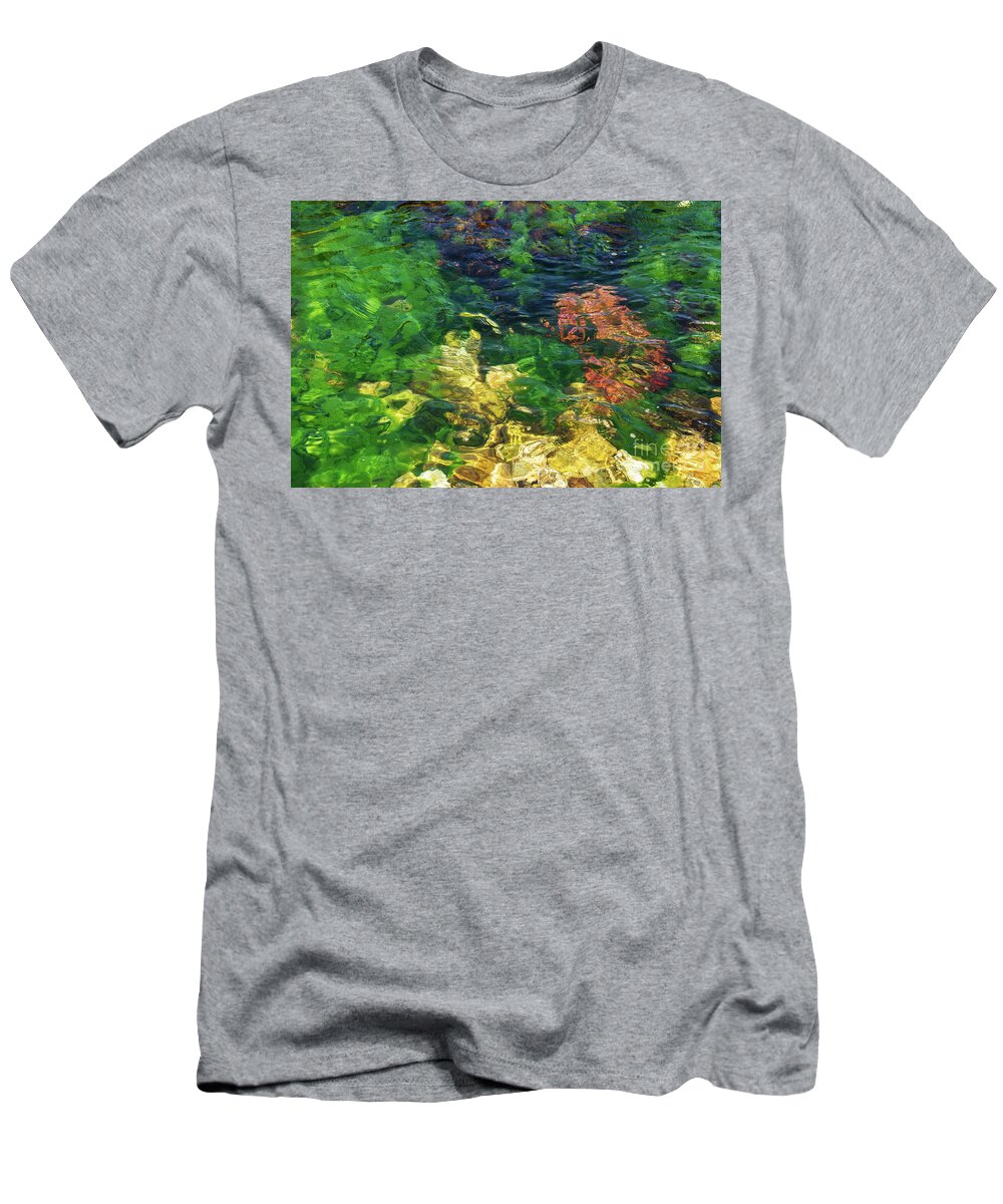 Burgazada Island T-Shirt featuring the photograph Underwater Color #2 by Bob Phillips