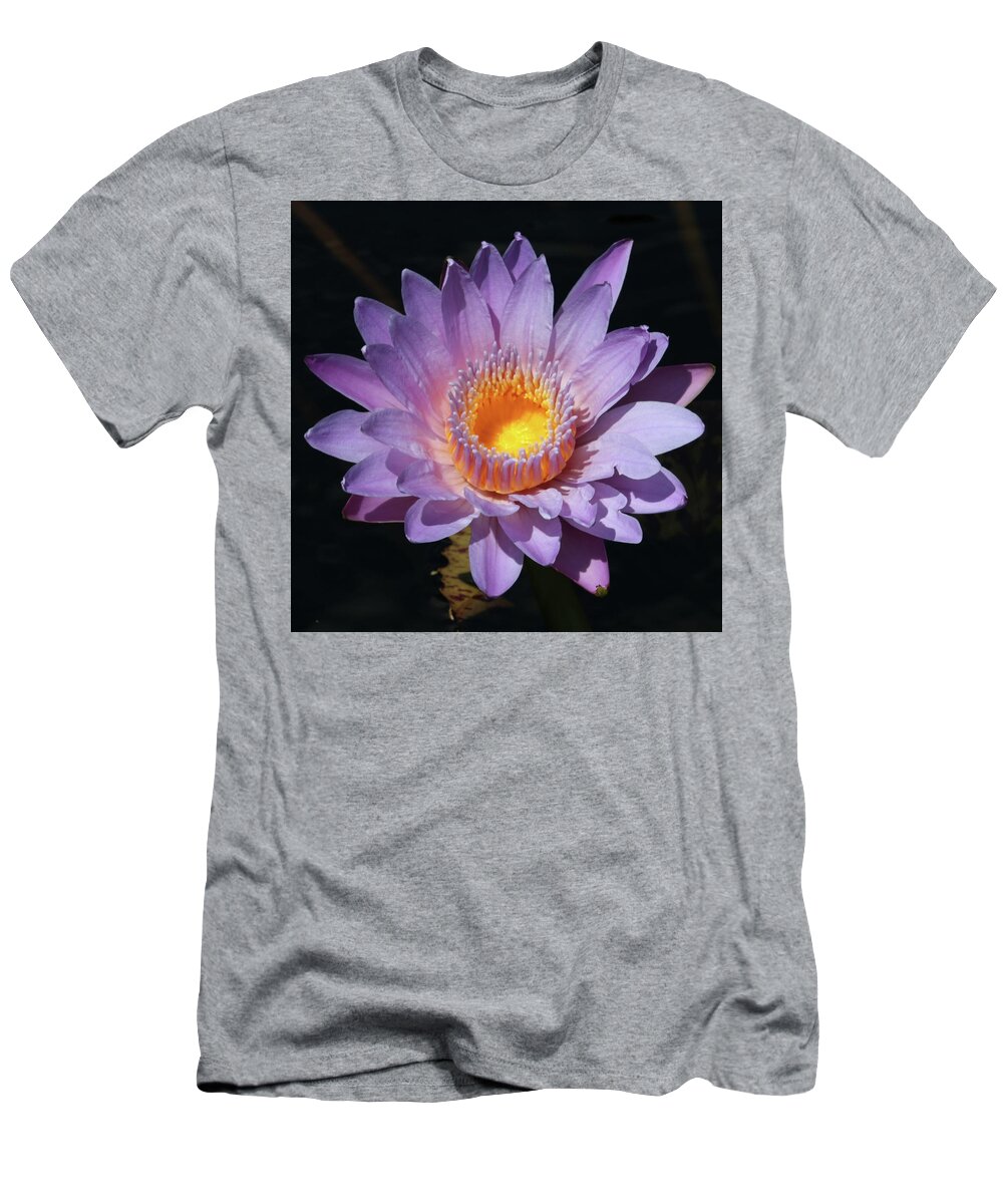 Flowers T-Shirt featuring the photograph Water Lily #2 by Harold Rau