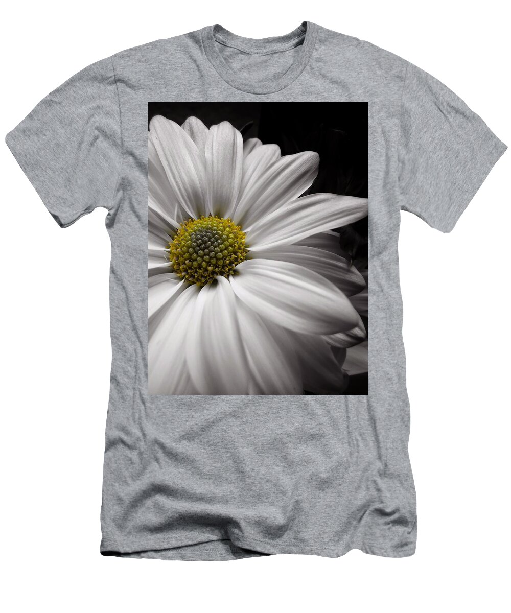 Scoobydrew81 Andrew Rhine Flower Flowers Bloom Blooms Macro Petal Petals Close-up Closeup Nature Botany Botanical Floral Flora Art Color Soft Black White Detail Simple Contrast Simple Clean Crisp Spring Round Art Artistic Light T-Shirt featuring the photograph White Daisy Macro 2 #1 by Andrew Rhine