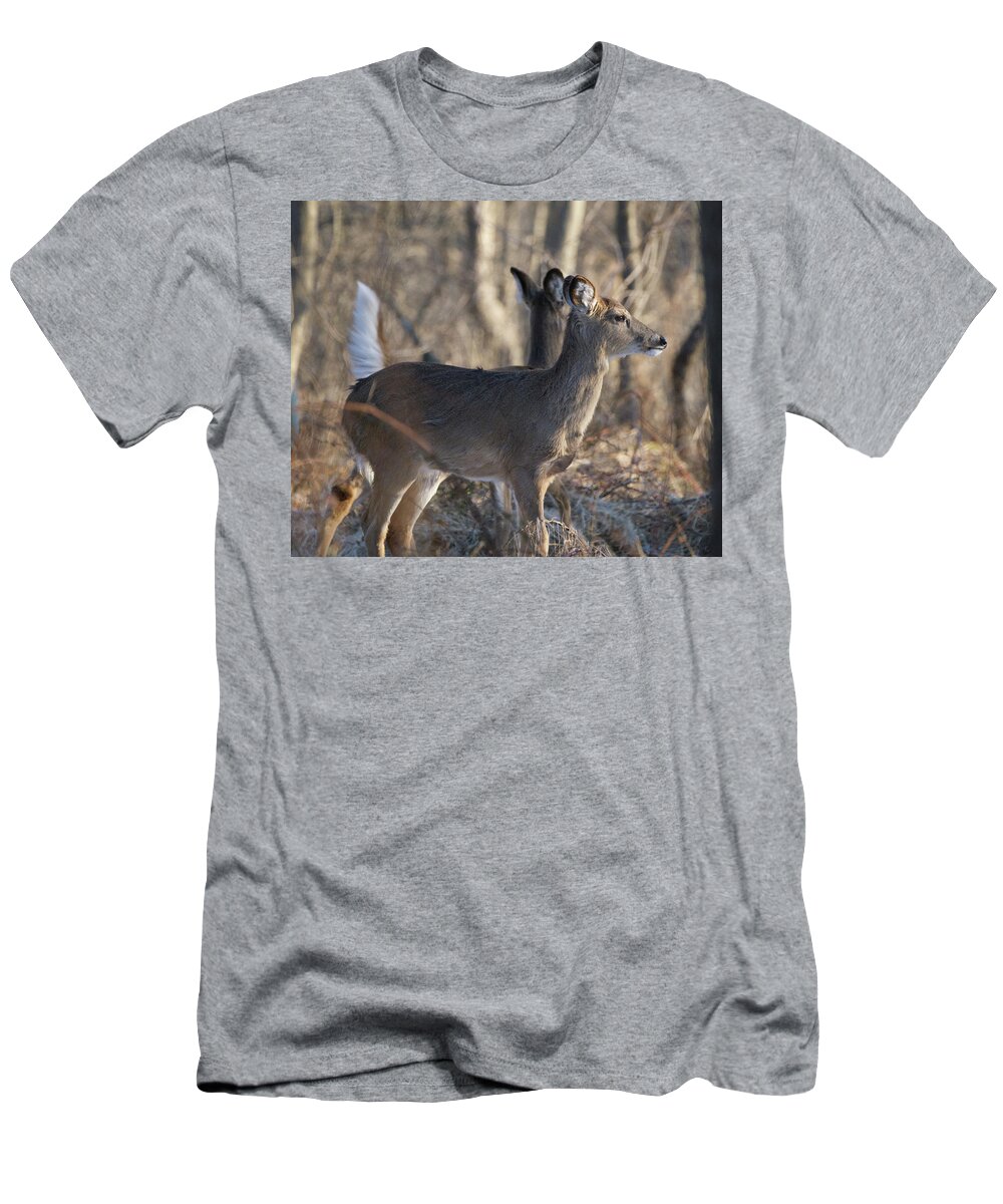 Animal T-Shirt featuring the photograph Wild Deer #1 by Paul Ross