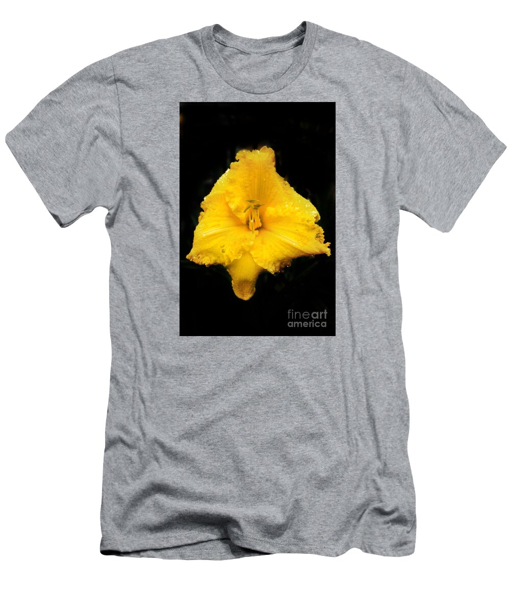 Lily T-Shirt featuring the photograph Yellow Lily #1 by Kevin Fortier