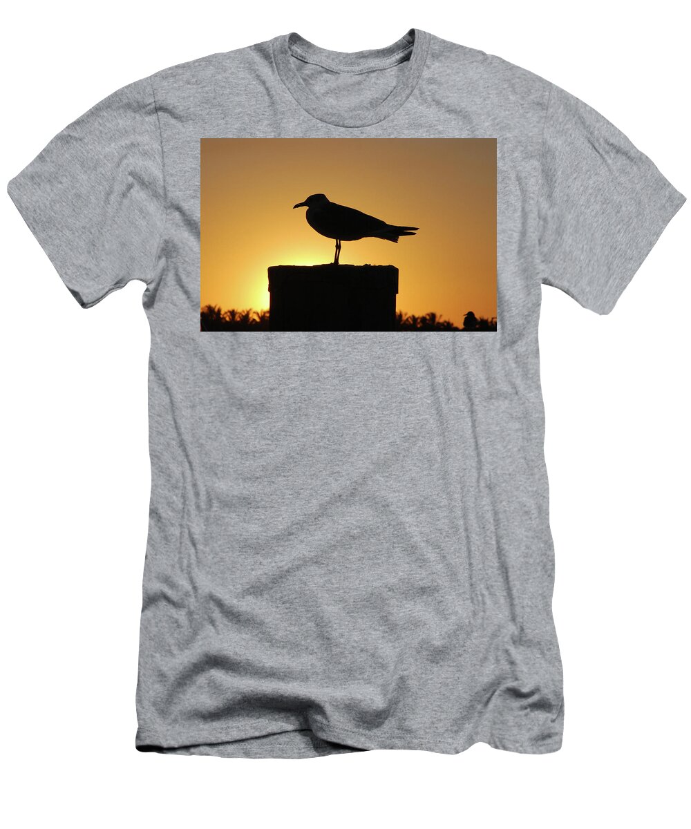 Seagull T-Shirt featuring the photograph 10- Solitaire by Joseph Keane