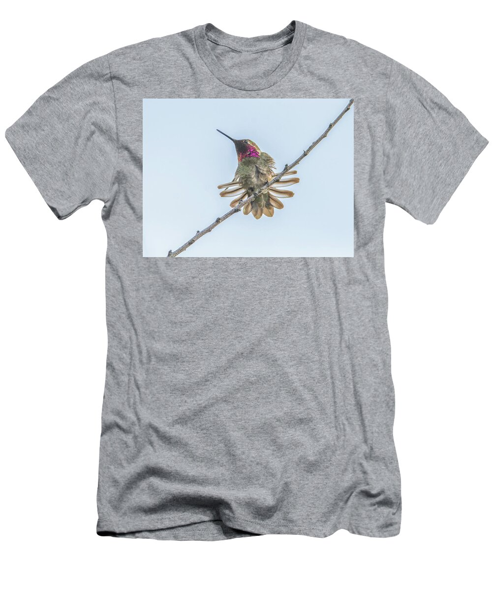 Anna's T-Shirt featuring the photograph Anna's Hummingbird #11 by Tam Ryan