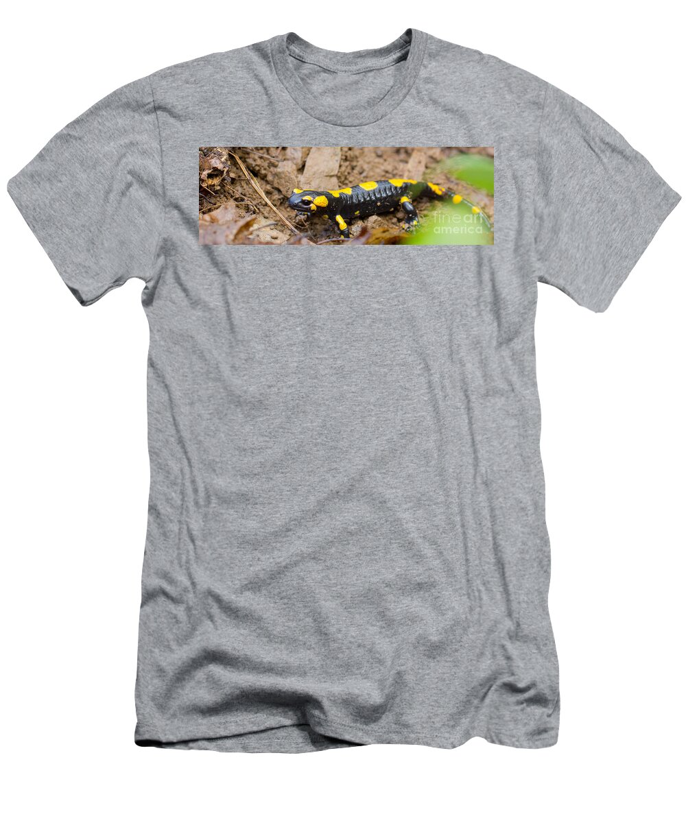 Amphibia T-Shirt featuring the photograph Fire salamander #13 by Jivko Nakev
