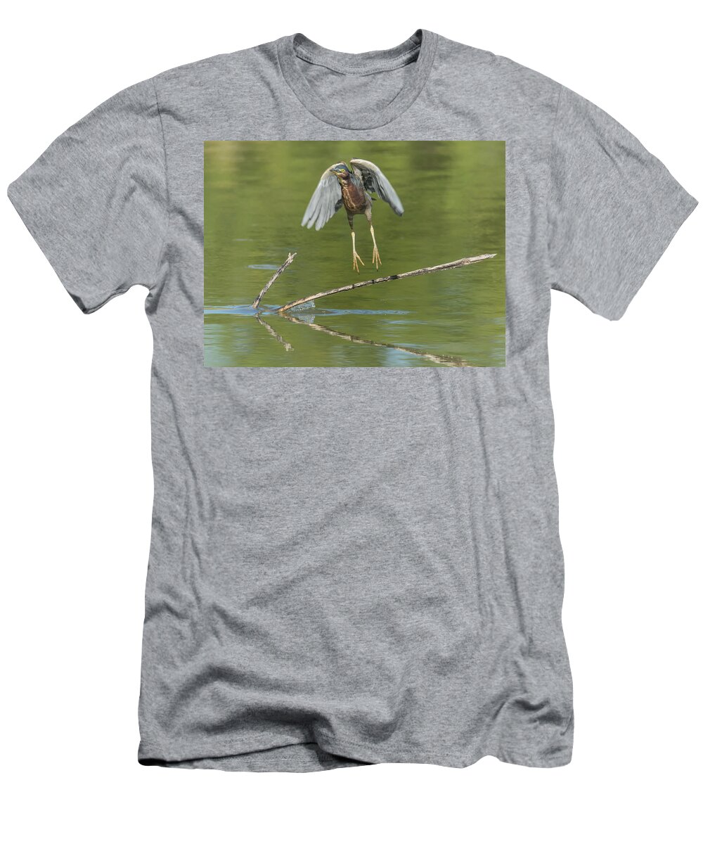 Green T-Shirt featuring the photograph Green Heron #15 by Tam Ryan