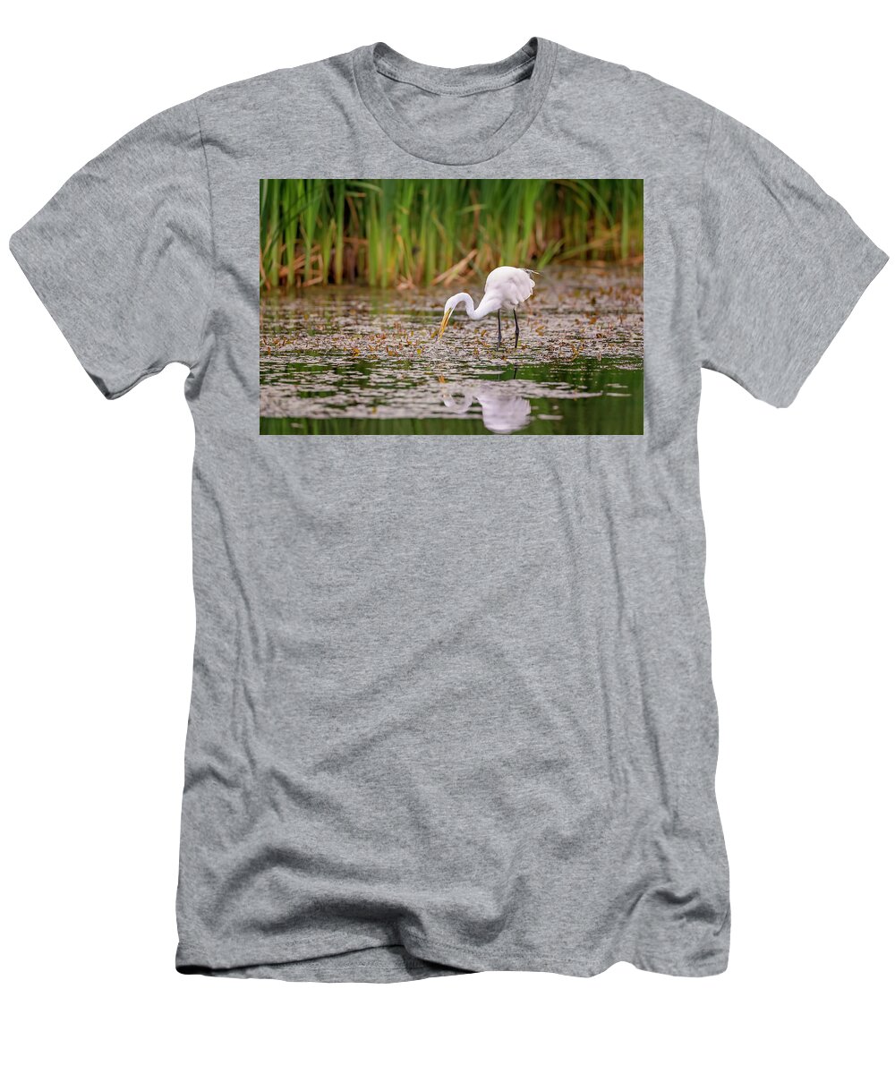 Animal T-Shirt featuring the photograph White, Great Egret by Peter Lakomy