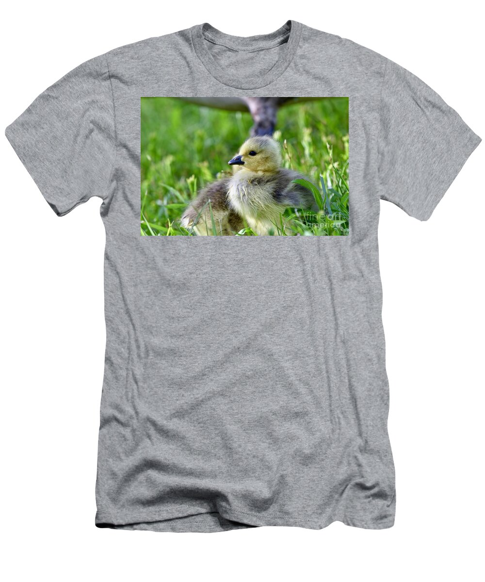 Adorable T-Shirt featuring the photograph Baby goose chick #2 by JL Images