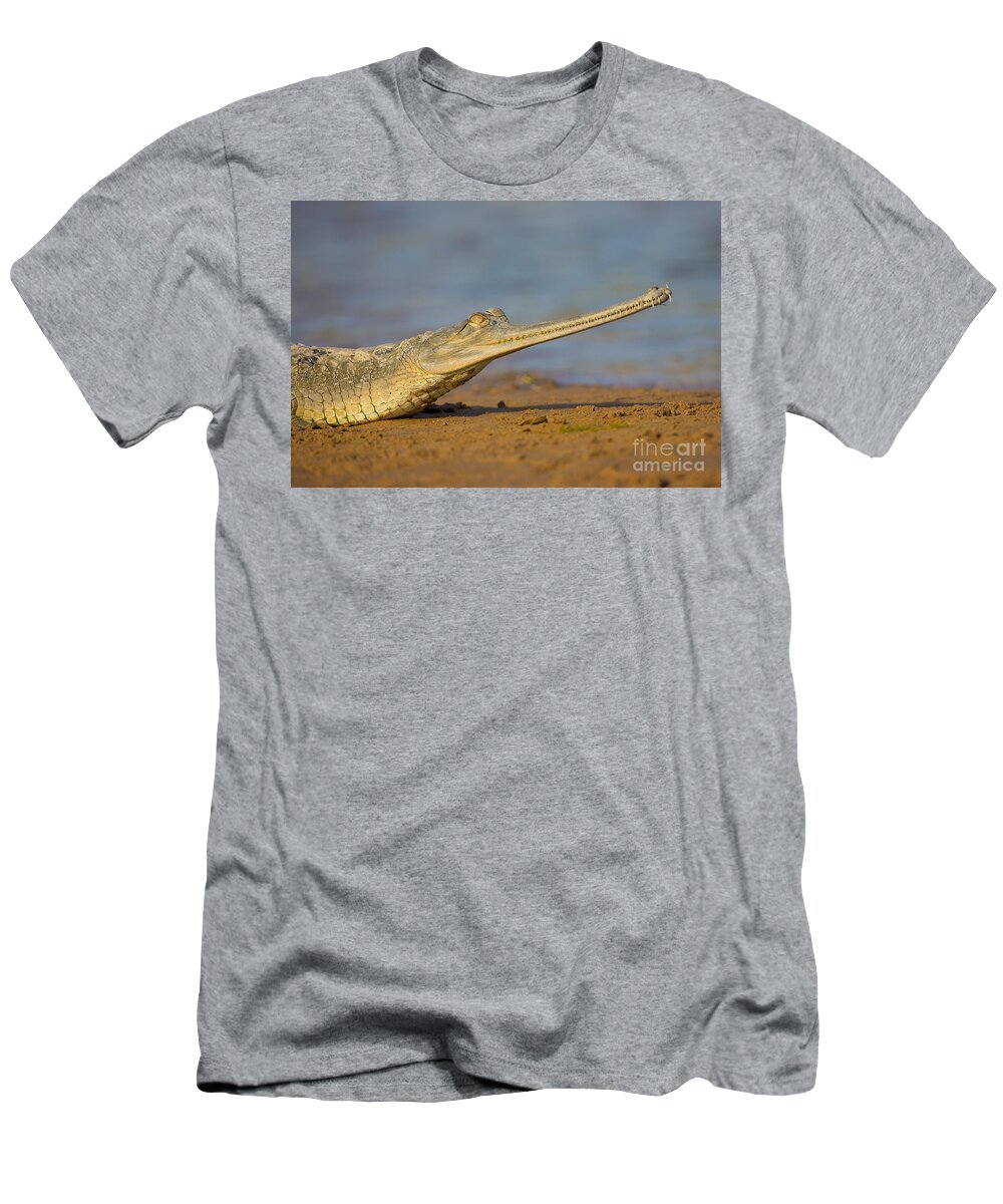 Gharial T-Shirt featuring the photograph Gharial In India #2 by B. G. Thomson