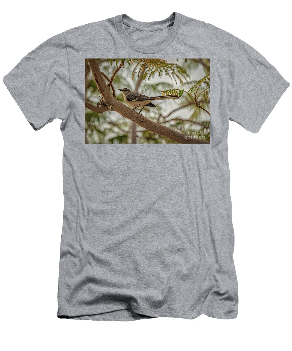 Arizona T-Shirt featuring the photograph Mockingbird #1 by Robert Bales