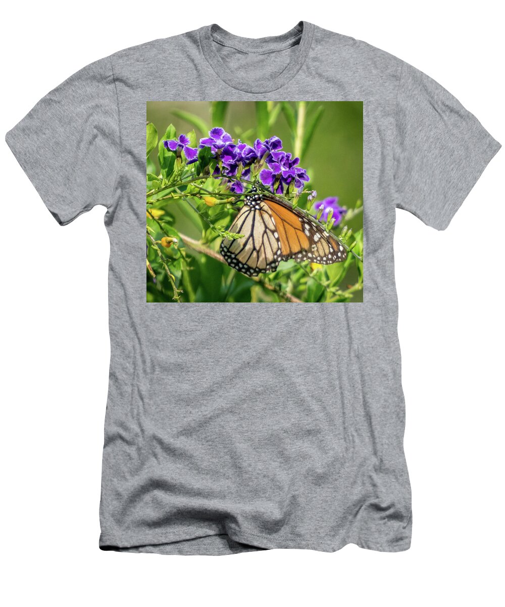 Florida T-Shirt featuring the photograph Monarch #2 by Jane Luxton