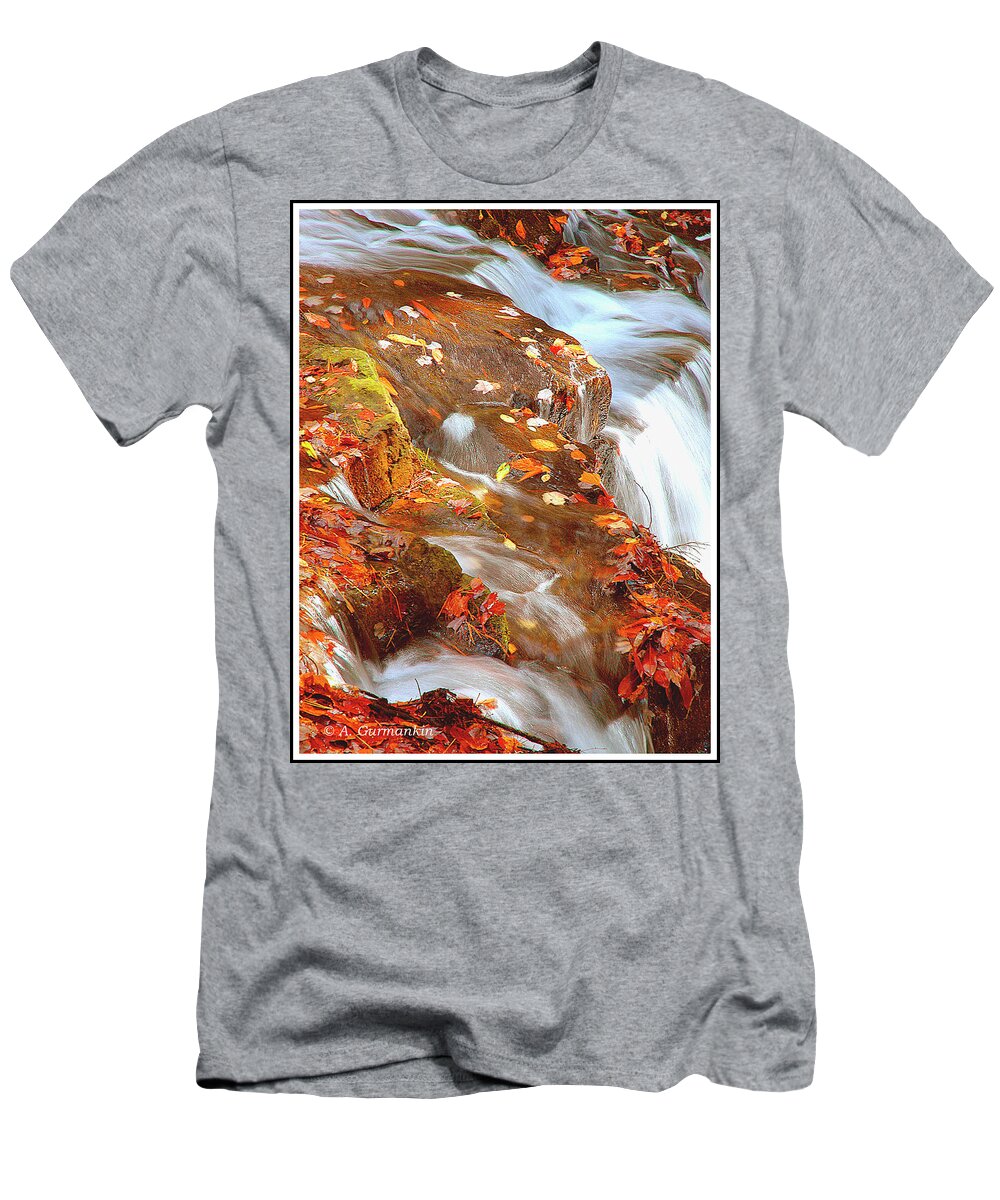 Mountain Stream T-Shirt featuring the photograph Mountain Stream in Autumn #2 by A Macarthur Gurmankin