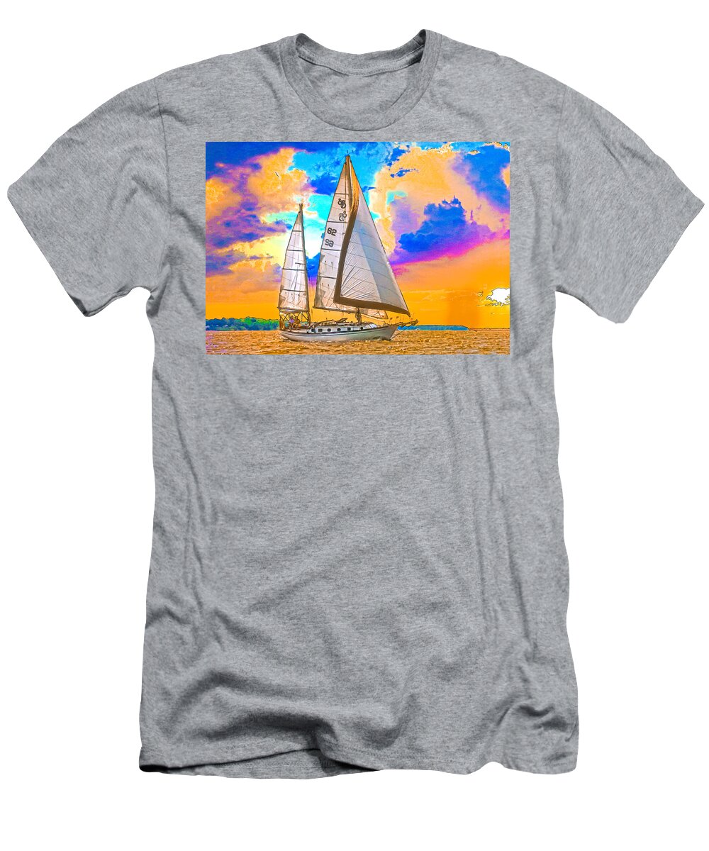 Sunset T-Shirt featuring the photograph Shannon 38 by Richard Goldman