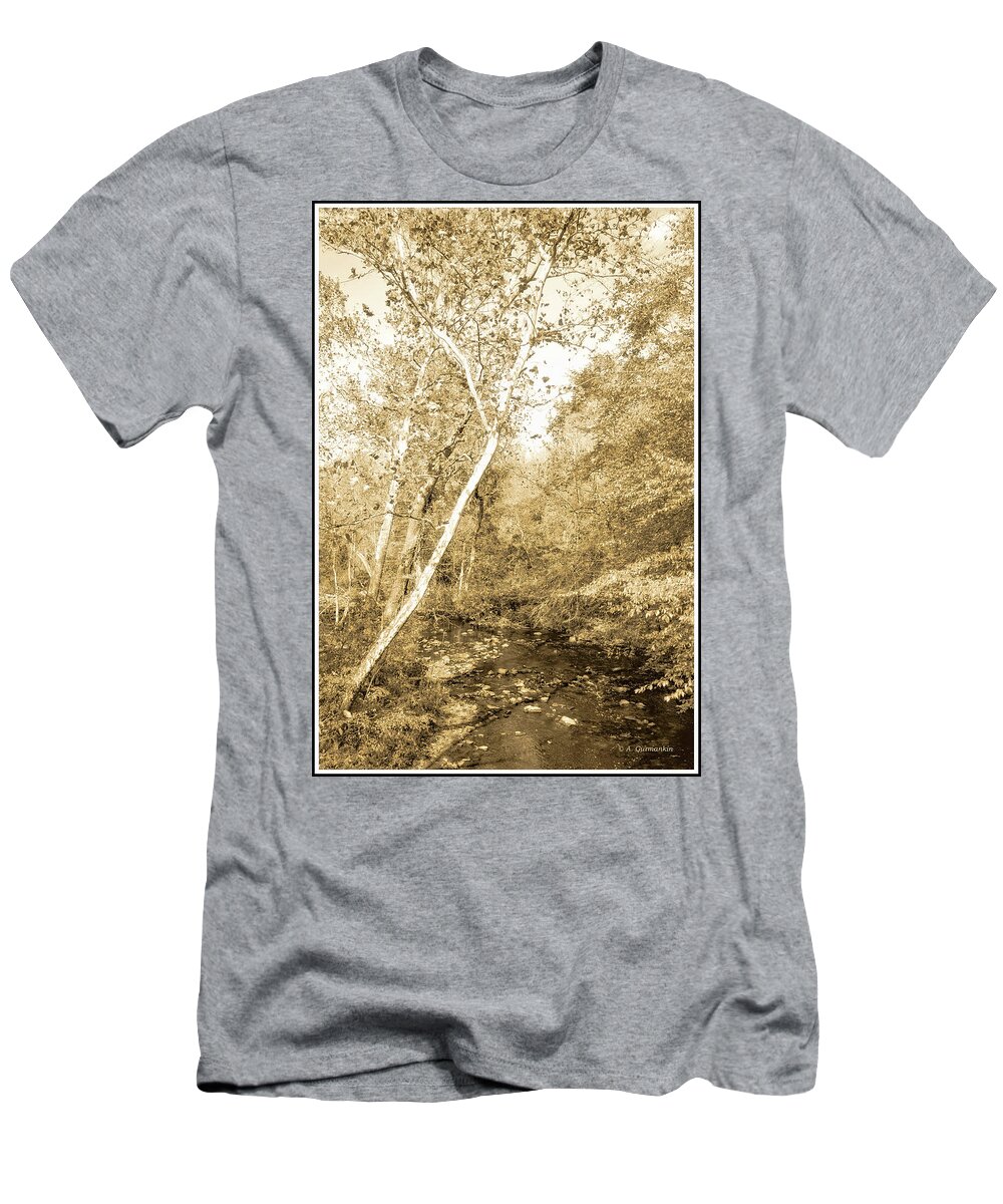 Stream T-Shirt featuring the photograph Woodland Stream in Fall, Montgomery County, Pennsylvania #2 by A Macarthur Gurmankin
