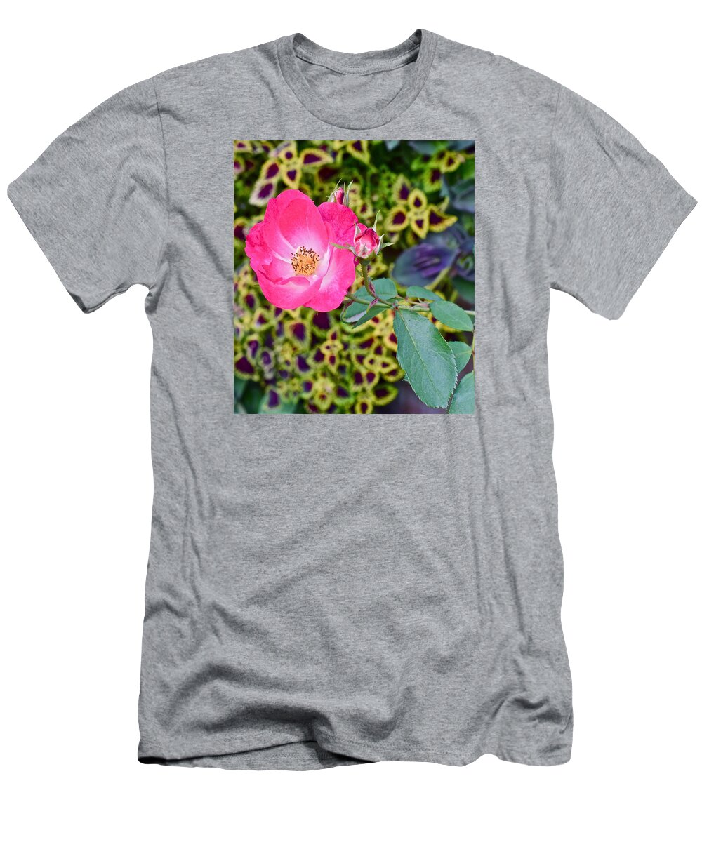 Double Knockout Rose T-Shirt featuring the photograph 2015 Fall Equinox at the Garden Hello Fall by Janis Senungetuk