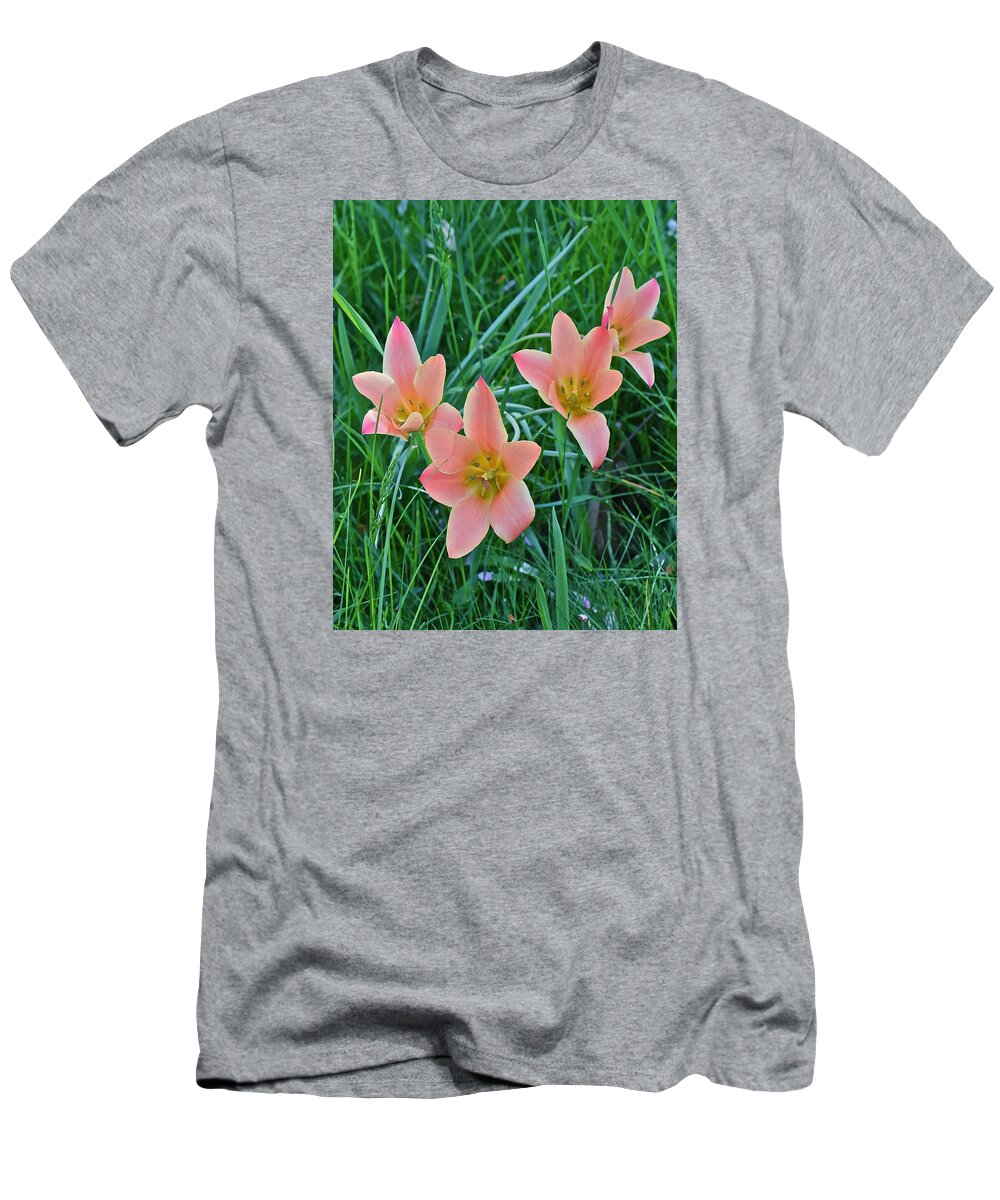 Tulips T-Shirt featuring the photograph 2015 Spring at the Gardens Meadow Garden Tulips 3 by Janis Senungetuk