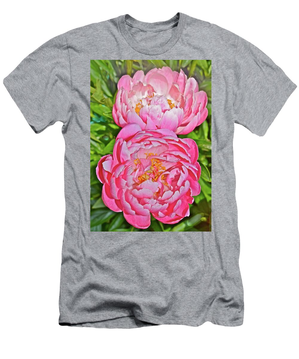 Peonies T-Shirt featuring the photograph 2016 Early June Coral Supreme Peonies by Janis Senungetuk
