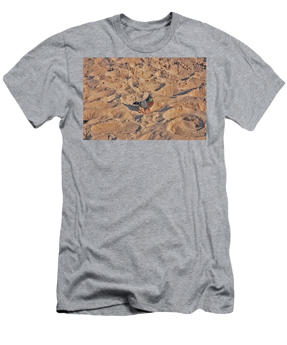 Pigeon T-Shirt featuring the photograph 24- Pigeon Beach by Joseph Keane