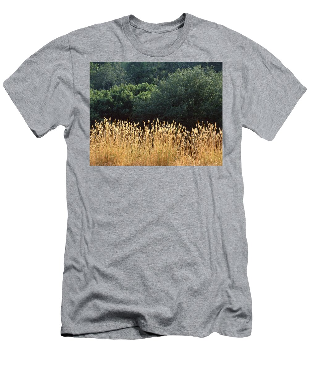 Grass T-Shirt featuring the photograph 2B6318 Grass and Oak Trees on Sonoma Mountain by Ed Cooper Photography