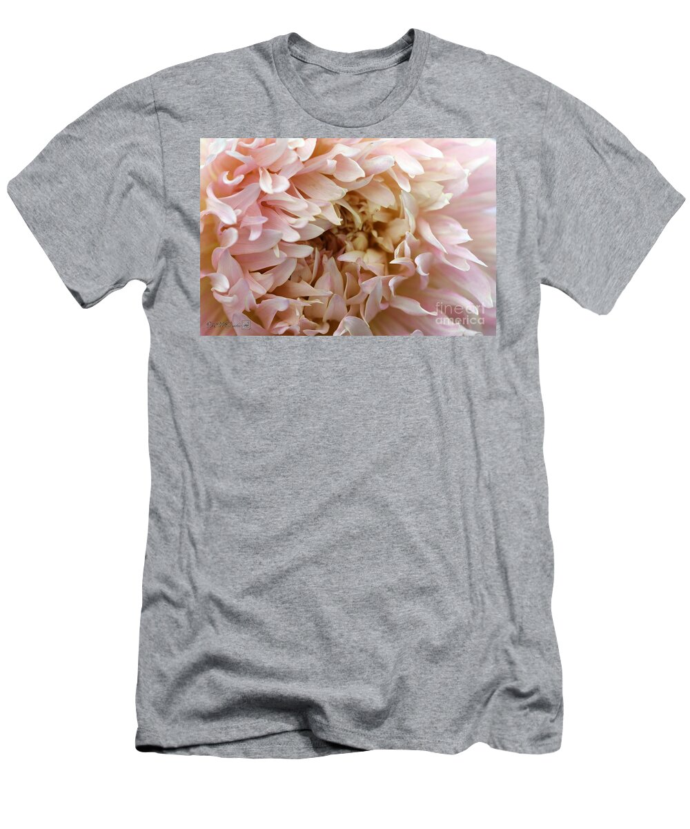 Mccombie T-Shirt featuring the photograph Dahlia named Nadia Ruth #4 by J McCombie