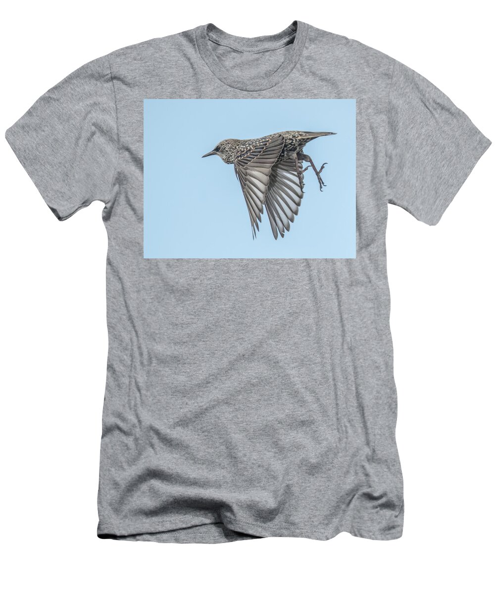 Starling T-Shirt featuring the photograph European Starling #3 by Tam Ryan